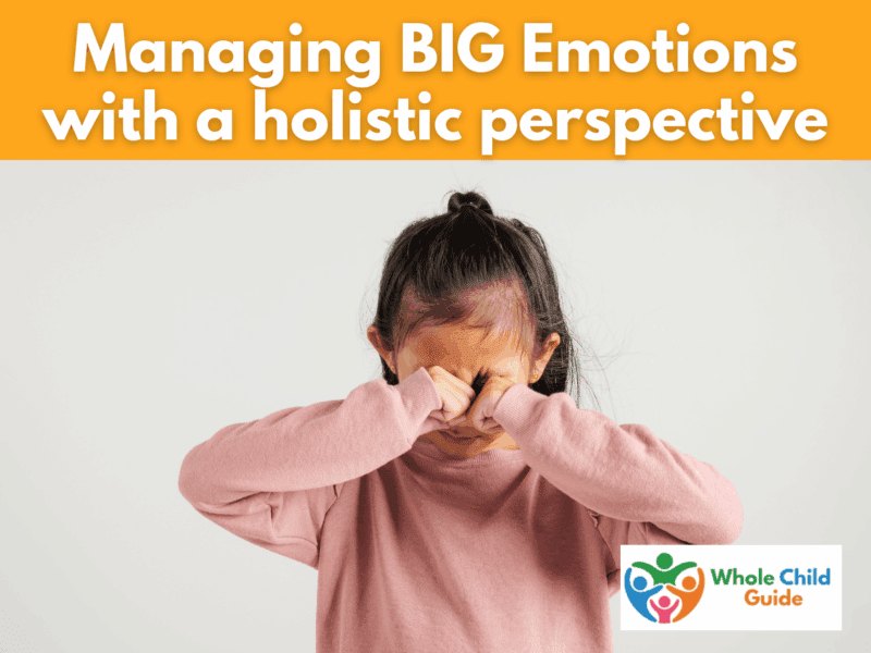 big emotions with a holistic view